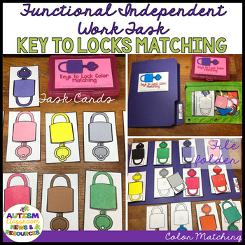 Preview of Functional Color Matching Independent Work Tasks: Keys to Locks