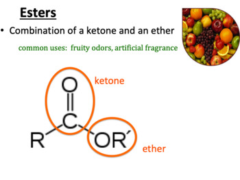 Preview of Functional Groups:  Organic Acids, Esters, Amino Acids