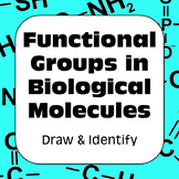 Functional Groups in Biological Molecules High School/AP B