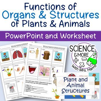 Preview of Functions and Structures of Plants and Animals (PowerPoint and Worksheet)