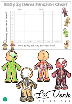 Preview of Functions of Body Systems - Bar Chart