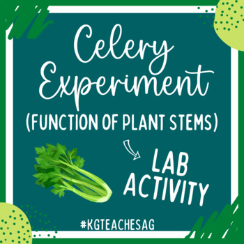 Preview of Functions of Plant Stems: Celery Experiment