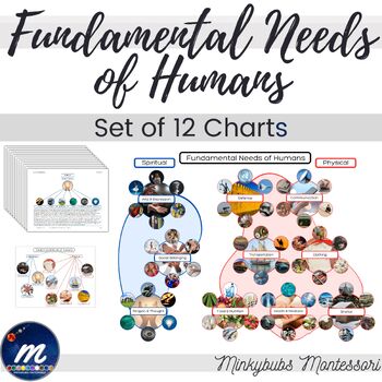 Preview of Fundamental Needs of Humans Charts Montessori 12 Posters Vertical Presentation