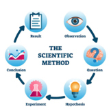 Fundamental Steps of the Scientific Method