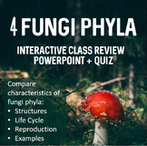 Fungi Phyla- Interactive Review PowerPoint plus Quiz