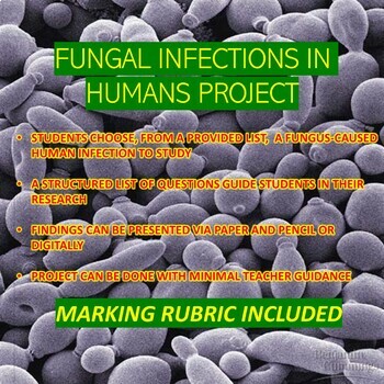 Preview of Fungal Infections In Humans Research Project (Mycology & Microbiology)