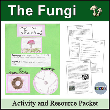 Preview of Fungi Activity Packet, Yeasts, Molds, and Mushrooms