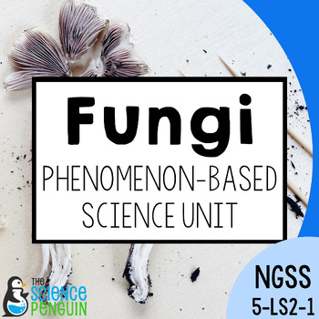 Preview of Fungi Unit | 5th Grade NGSS Decomposers & Movement of Matter Worksheets Activity