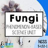 Fungi Unit | 5th Grade NGSS Decomposers & Movement of Matt