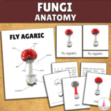 Parts of a Fly Agaric Montessori 4-part Cards | Fungi Mush