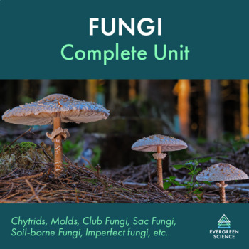 Preview of Fungi Complete Unit