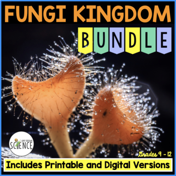 Preview of Fungi Kingdom Bundle