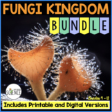 Fungi Kingdom Bundle