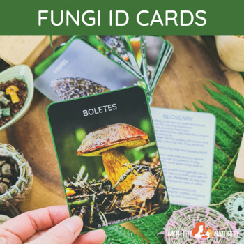 Preview of Fungi Identification Cards | Mushroom Identification Cards