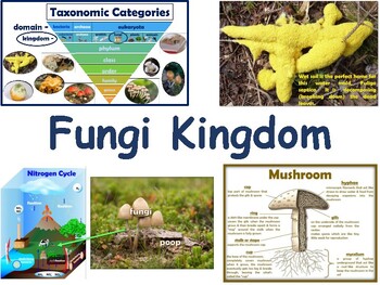 Fungi Kingdom & Organism Classifications Lessons&Flashcards-exam prep ...