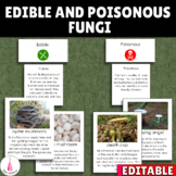 Fungi | Mushroom | Edible and Poisonous Montessori Sorting
