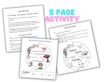 Preview of Fungi - Mushroom Science Lesson for pre k to 1st - activity craft clipart