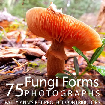 Preview of Fungi Mushrooms Clip Art 75 Photograph Images for Science Biology Earth Research