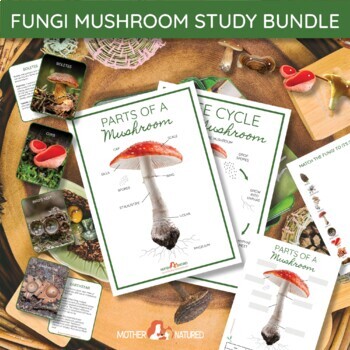 Preview of Fungi Study Bundle | Mushroom Study Bundle | Fungi and Mushroom Printables