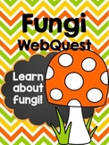 Fungi Webquest