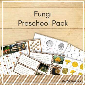 Preview of Fungi and Mushroom Preschool and PreK Skills