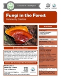 Fungi in the Forest: Community Creators