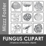 Fungus Mushroom Blackline Clipart (10 pieces)