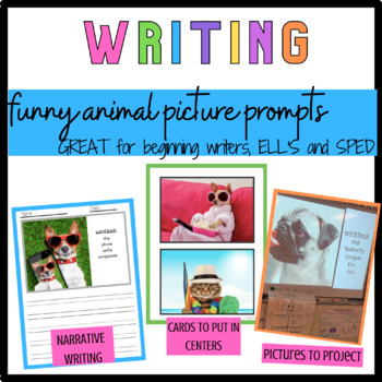 Funny Animal Pictures For Narrative Writing - beginning writers, ELL, sped