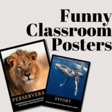 Funny Classroom Posters
