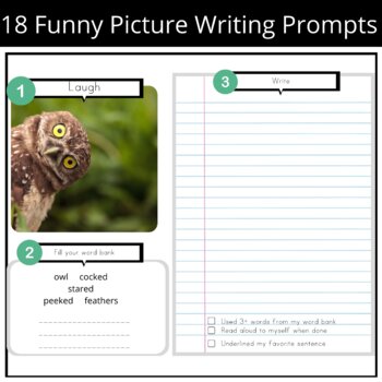 Preview of Funny Picture Writing Prompts- Funny Animals