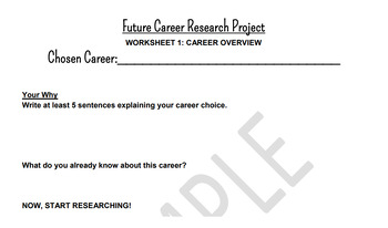 Preview of Future Career Research Project