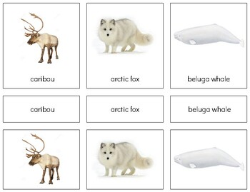 G020 (PDF): ARCTIC animals (3 pt cards|book making set) (goes w/Arctic TOOB)