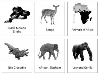 Preview of G026: AFRICA animals 3 part cards|book making set (5pgs)