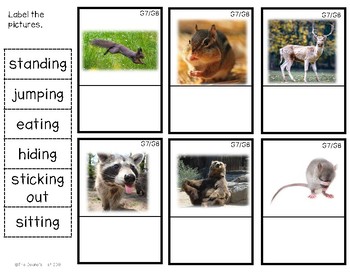 G8 Labeling Forest Animal Action Photos by The Deane's List | TPT