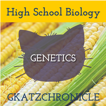 Preview of GENETICALLY MODIFIED FOODS (BILL NYE) VIDEO WORKSHEET