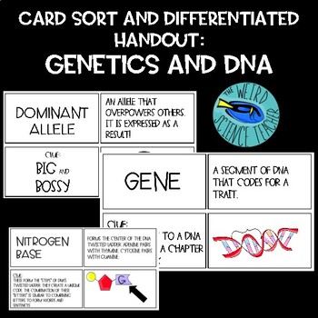 Preview of GENETICS AND DNA SORT CARDS: MATCHING, REVIEW, CUT/PASTE,FLASHCARDS, WORD WALLS