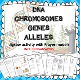 GENETICS ~DNA, CHROMOSOME, GENE, ALLELE~JIGSAW ACTIVITY, F