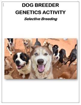 Preview of GENETICS: Artificial Selection: Selective Breeding - Dog Breeder Activity