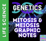 GENETICS: Mitosis and Meiosis Graphic Notes!