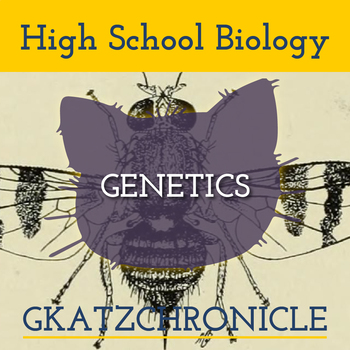 Preview of GENETICS TEACHER PRESENTATION & MATCHING STUDENT NOTES