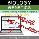 GENETICS - Virtual Lab / Simulation Crossing Fruit Flies (