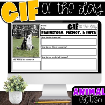 Preview of GIF of the Day | Picture of the Day | ANIMAL EDITION TPT Easel