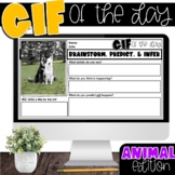 GIF of the Day | Picture of the Day | ANIMAL EDITION TPT Easel