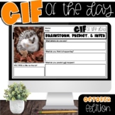 GIF of the Day | Picture of the Day | OCTOBER EDITION TPT Easel