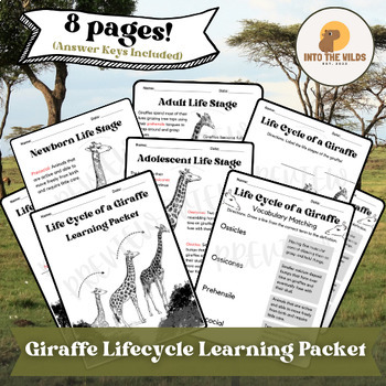 Preview of GIRAFFE LEARNING PACKET: Life Cycle of a Giraffe Printable Packet