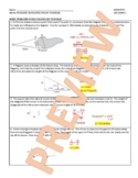 GL52H - Word Problems involving Similar Triangles HANDOUT