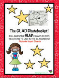 GLAD Photobucket! A Visual Photo Album of Input Charts!
