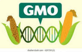 GMO digital activity