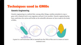 GMO's google slides lesson