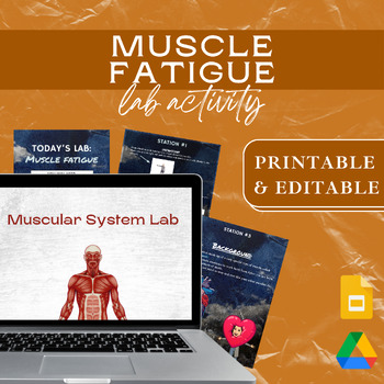 Preview of GOOGLE DRIVE | Anatomy Physiology MUSCLE FATIGUE LAB | Muscular System
